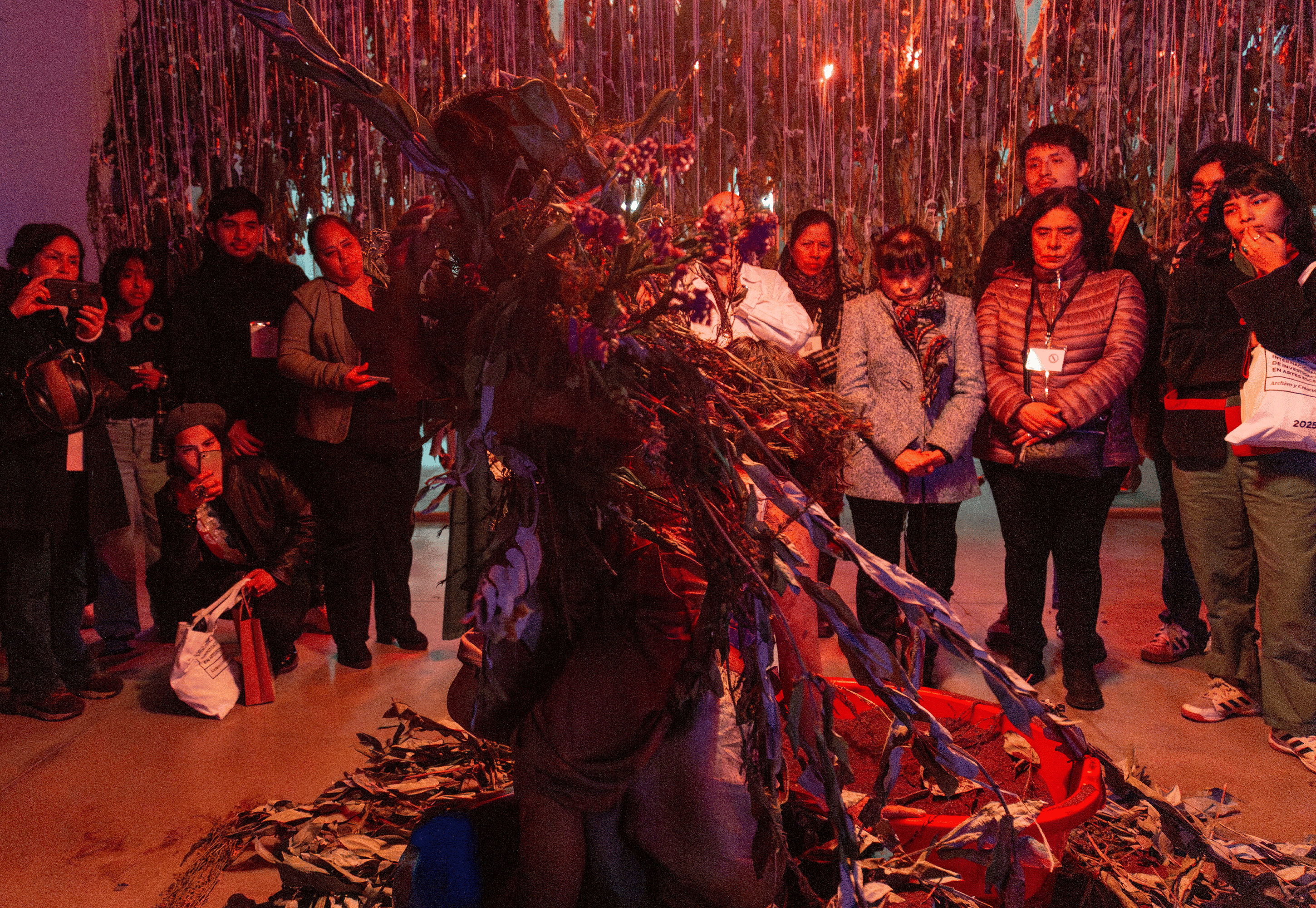 Memorias de un Herbario 02